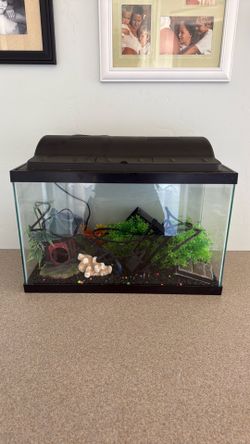 Fish Tank Aquarium