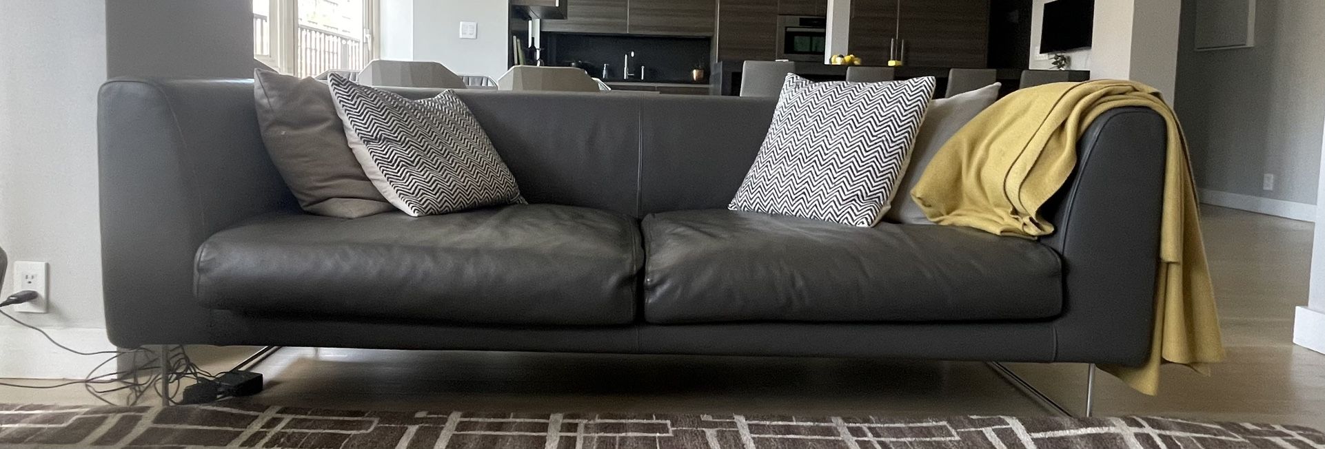 Cappellini Elan 2-Seater Leather Sofa – $2,225