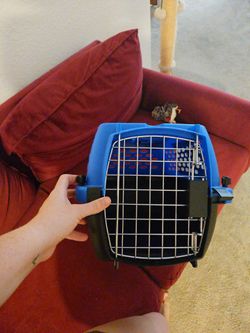 Cat carrier