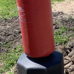 Red Wave Master Punching Bag 