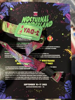 Nocturnal Wonderland 2 Day GA