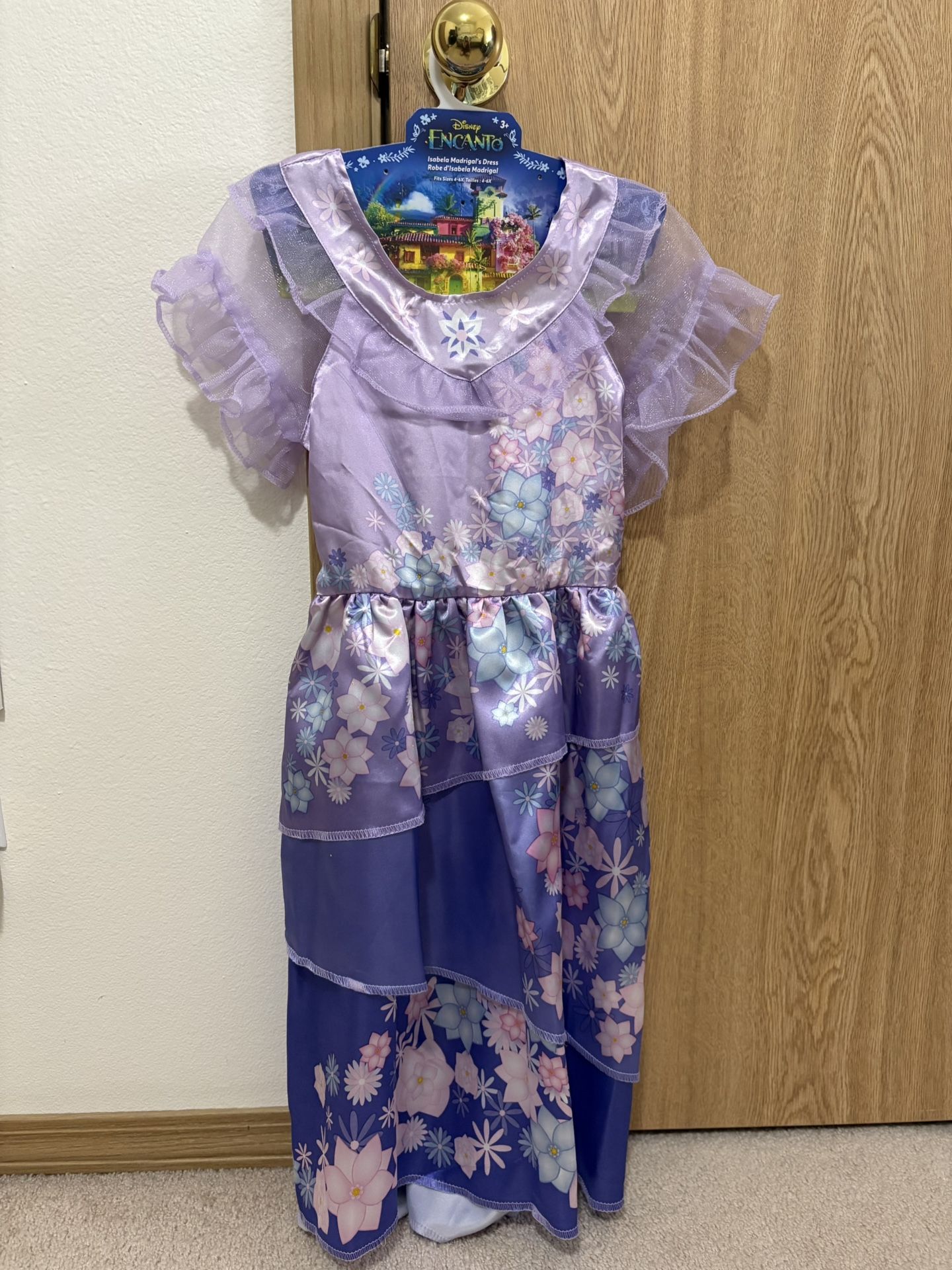 Encanto Isabela Costume