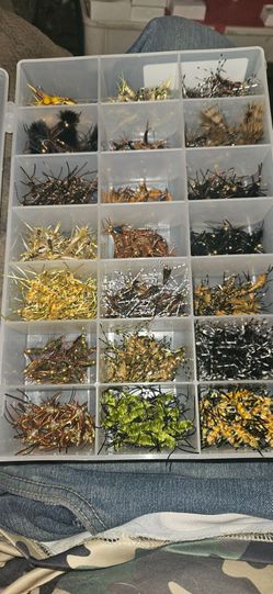 504 Stone Flies Lot