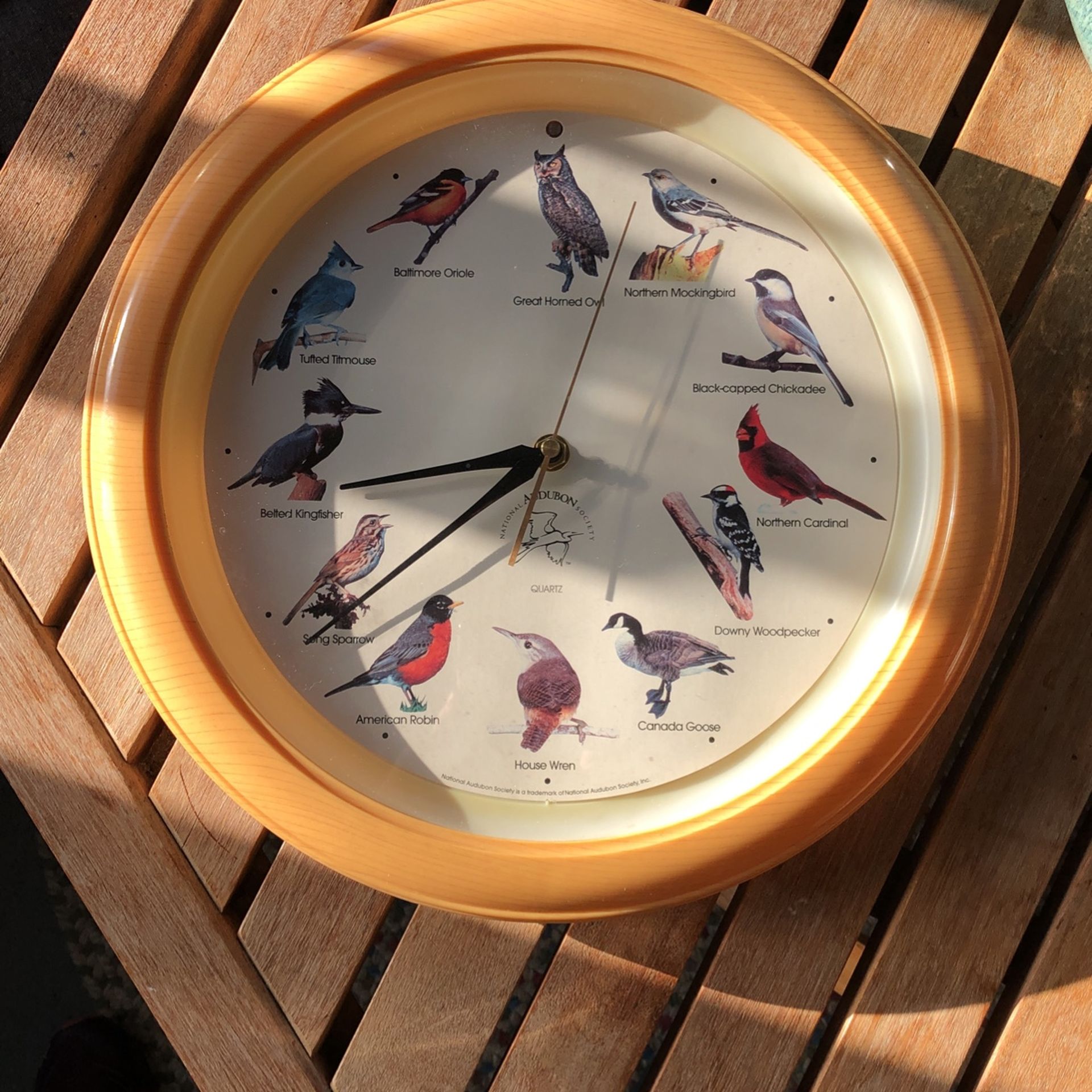 National Audubon society clock