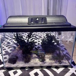 10 Gallon Fish Tank Aquarium 