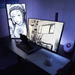 Dell 24 Inch Monitors 