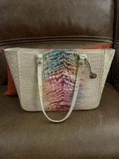 Beautiful Brahmin With Dustbag