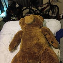 Massive Teddy Bear 
