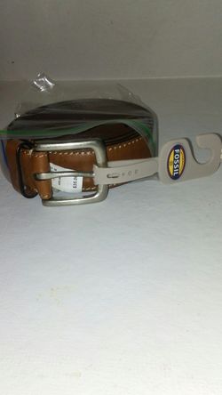 Fossil belt
