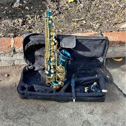 Beautiful 😻  alto saxophone 🎷