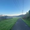 Joe Neill