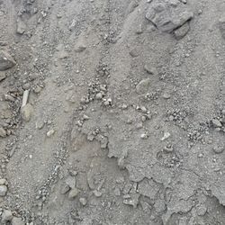 Fill Dirt