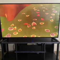 Sceptre 50"TV ($100) and Tv Stand($30)