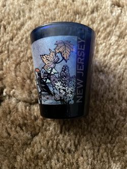 Two Blue State Shot Glasses 