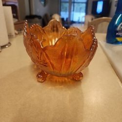 Carolina Glass
