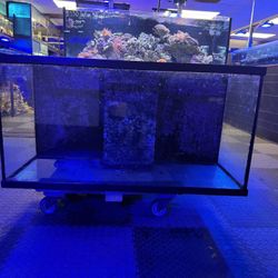 Used 94 Gallon With Internal Overflow Box 