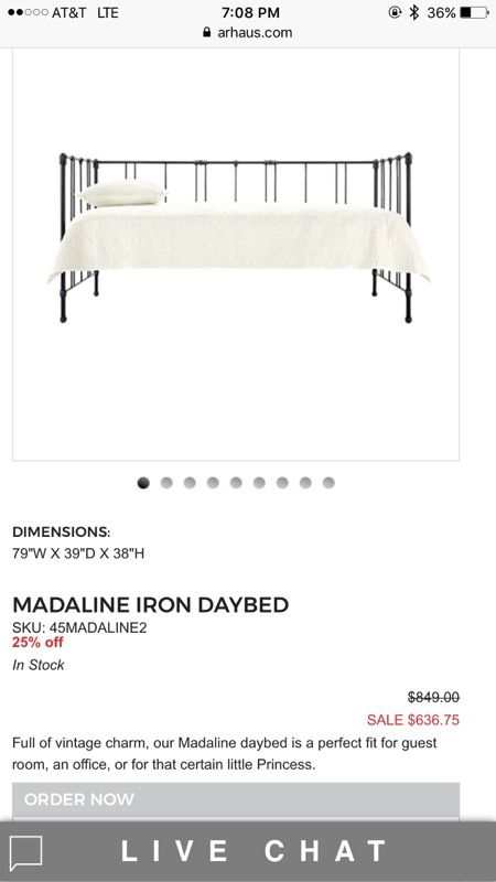 Arhaus Iron Daybed with trundle