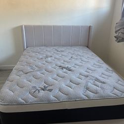 Queen Size Bed And Mattress