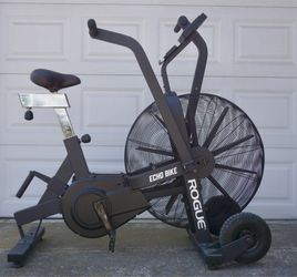 Rogue Echo Bike
