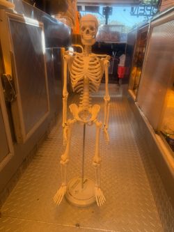SKELETON