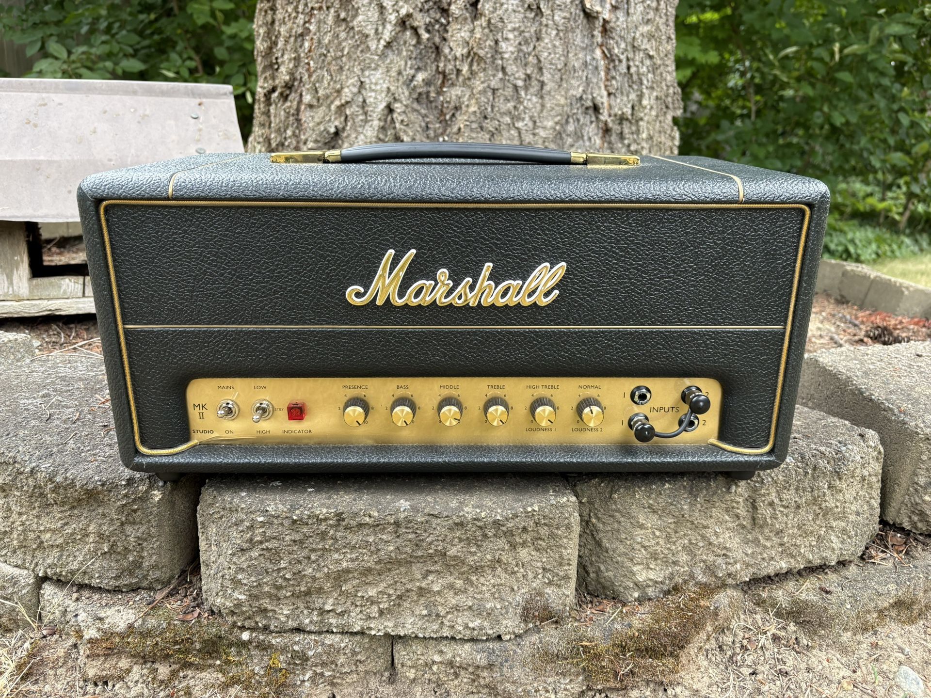 Marshall Plexi SV20h 