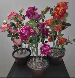 Faux Peony Rose Trees Topped with either Dragon Blood / Pink Translucent / Mixed Crystal Chip Stone ($30 EACH) @ Lasting Creations