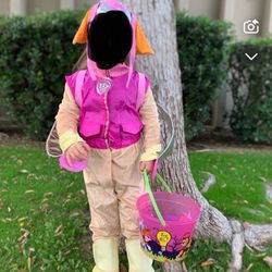 Skye Paw Patrol Costume  2-4t