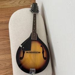 stagg mandolin m20 LH