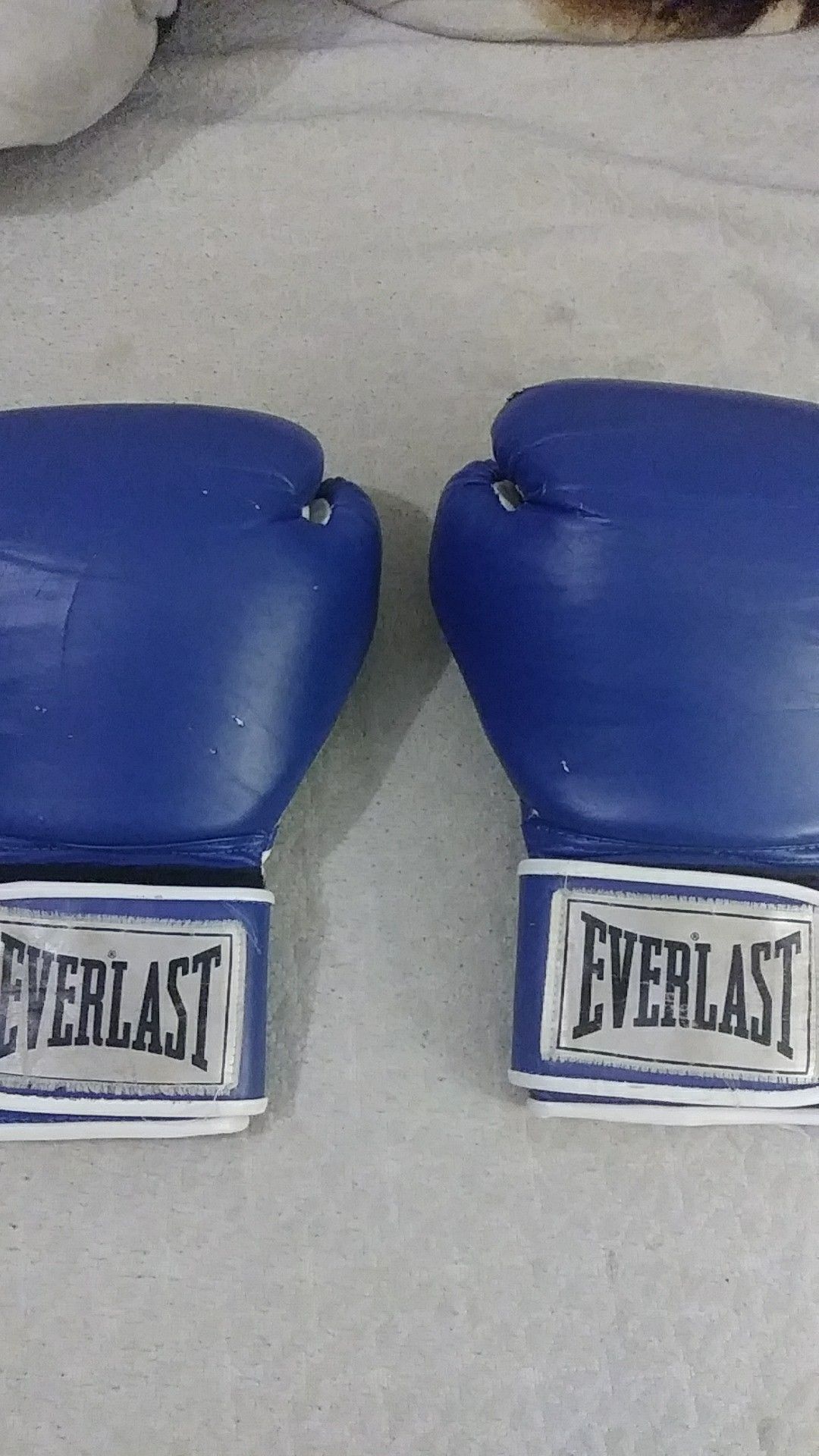 Everlast punching gloves