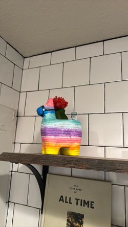 Cactus and piñata pot