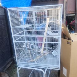 Bird Cage