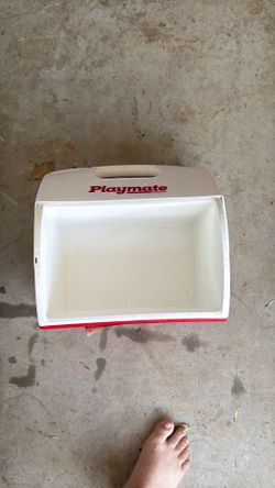 Playmate cooler