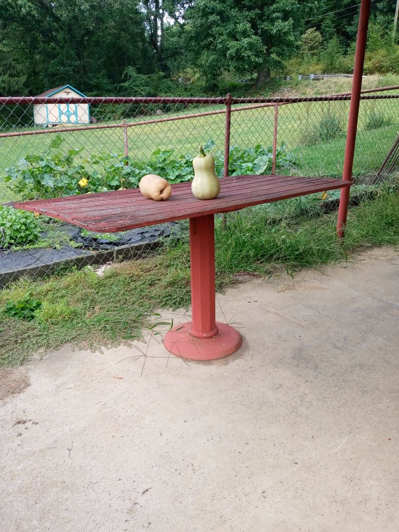 Old pedestal picnic table