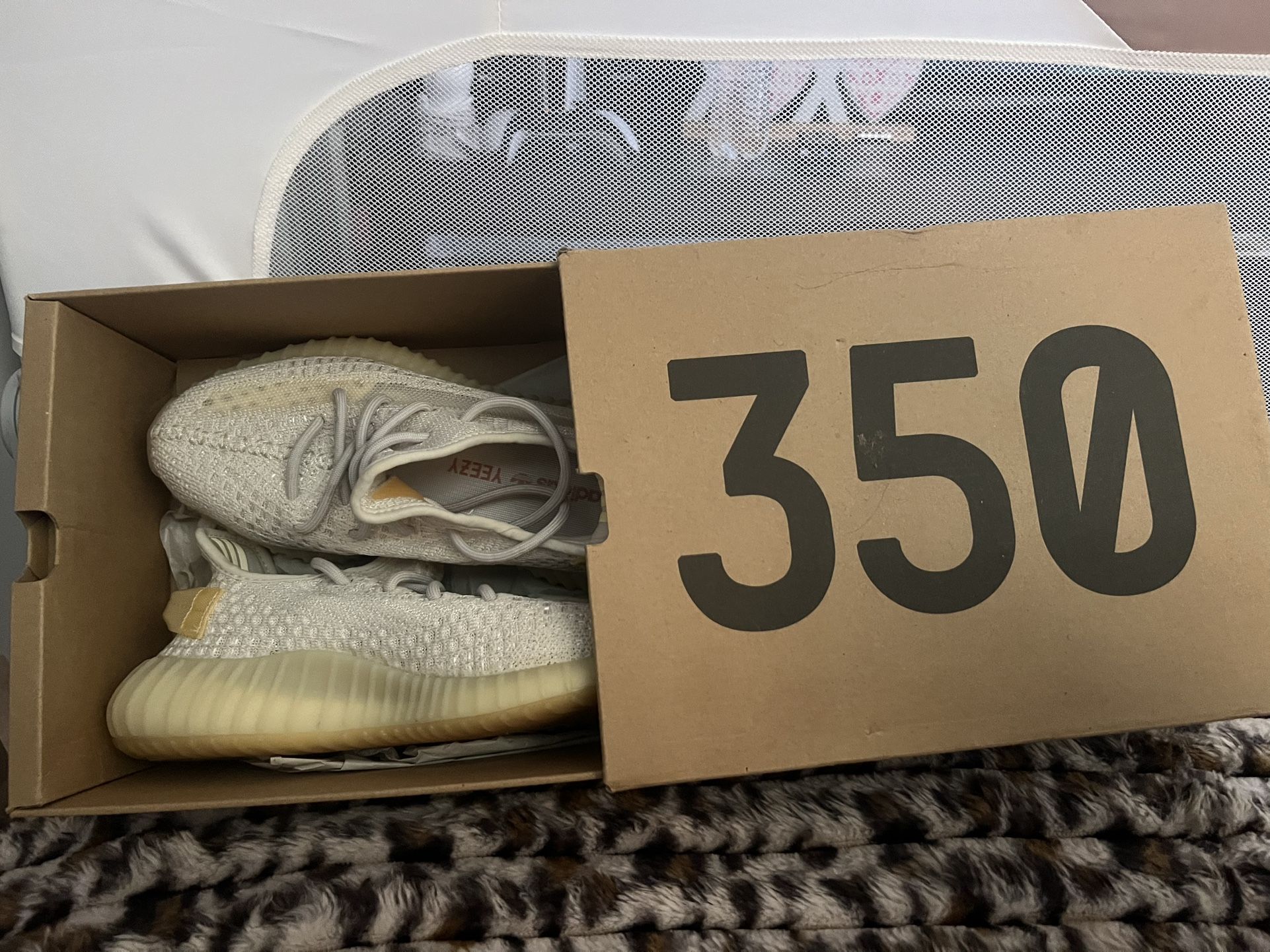 Yeezys 6Y