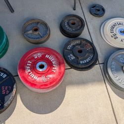 Weight Plates + Weight Rack