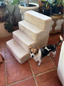 Dog Stairs
