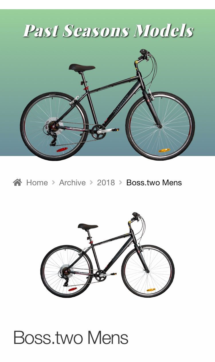 Infinity Boss Two Hybrid Bike