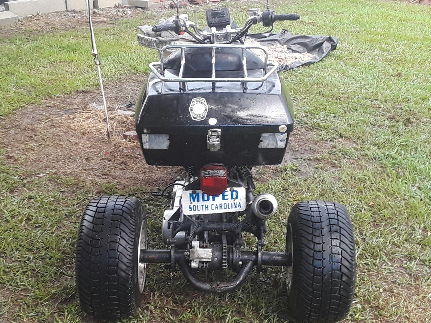 Ice bear Maddog Trike