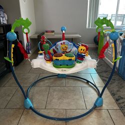 Baby Einstein Jumper