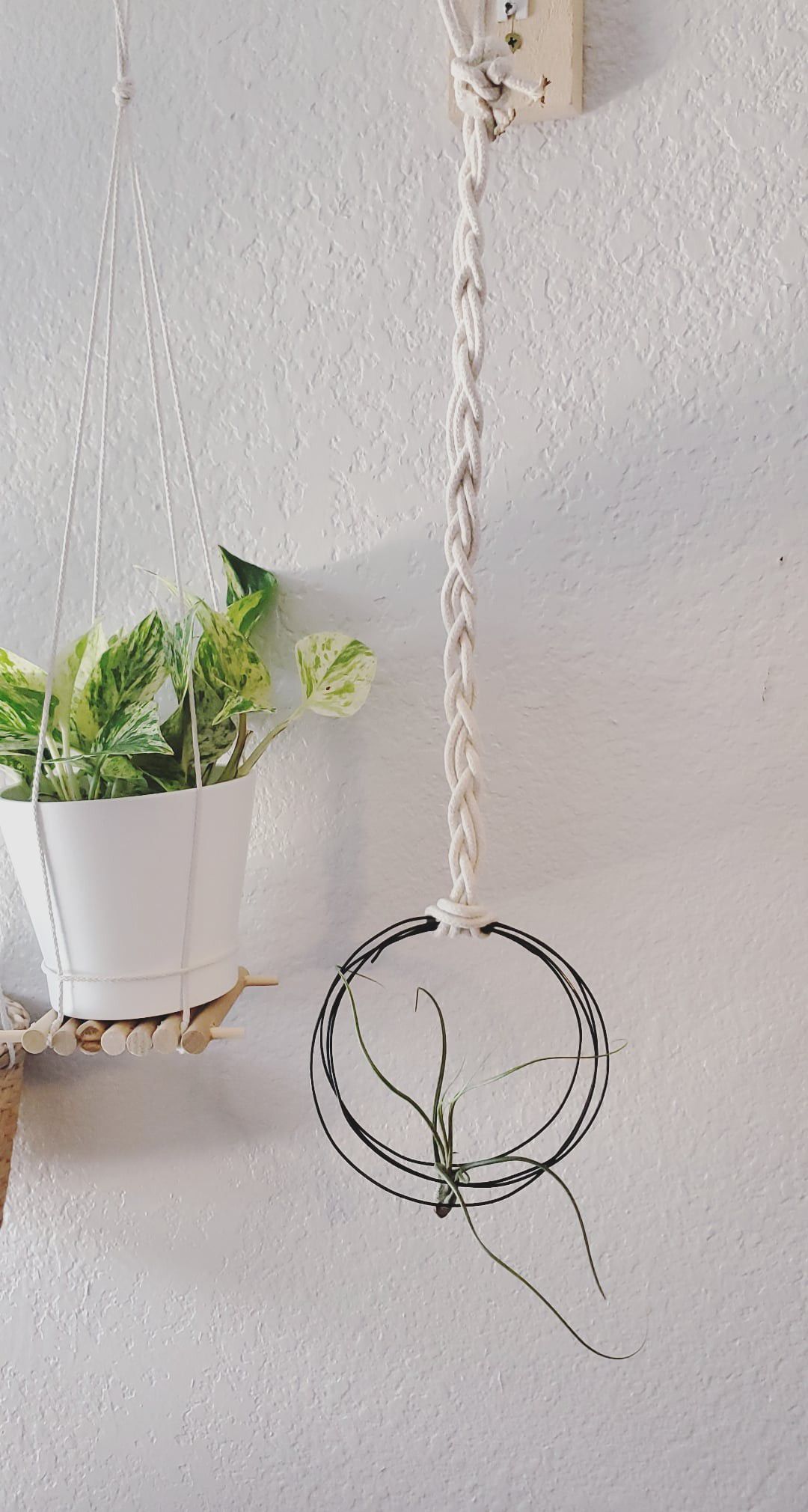 Plant holders and air plant holder decor