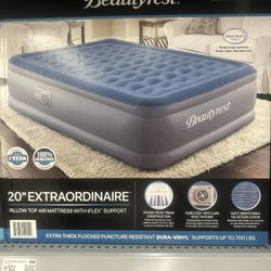 Queen Air Mattress
