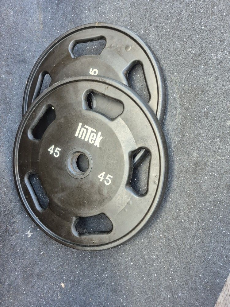 Intek 45lbs Weights