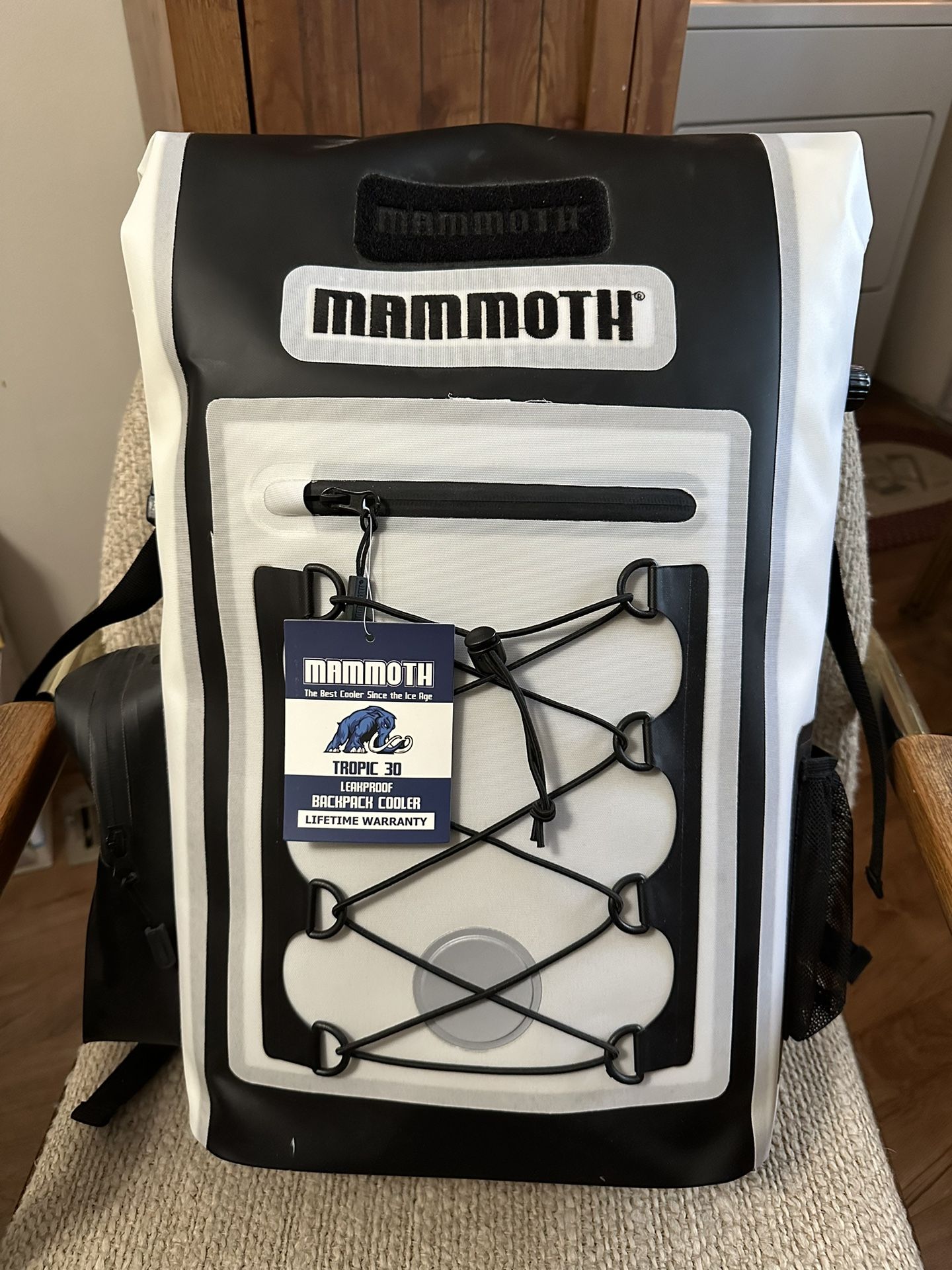 Backpack Cooler