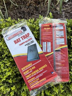 Rodent Glue Boards