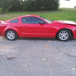 2007 ford mustang