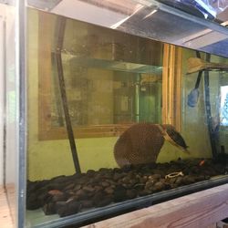 365 Gallon Fish Tank