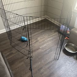 Dog Cage 