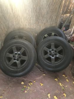 Expedition Wheels
