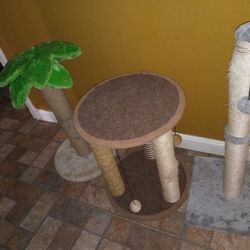 Cat Toys