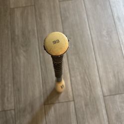 Baseball Bat